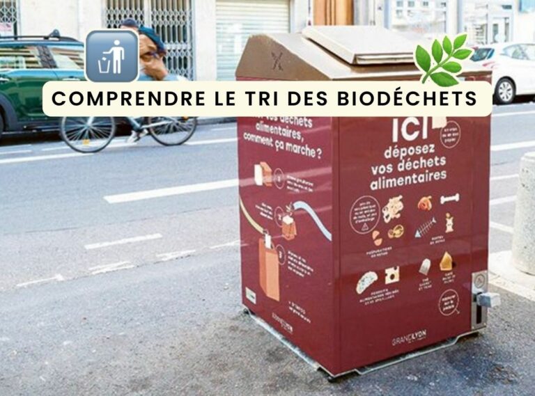 Lire la suite à propos de l’article Comprendre la nouvelle obligation de tri des biodéchets – Loi AGEC et le compostage obligatoire.