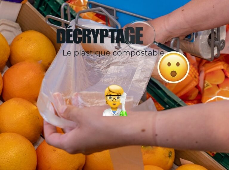 Lire la suite à propos de l’article Sacs compostables : est-ce vraiment possible ?